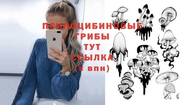 дурь Баксан